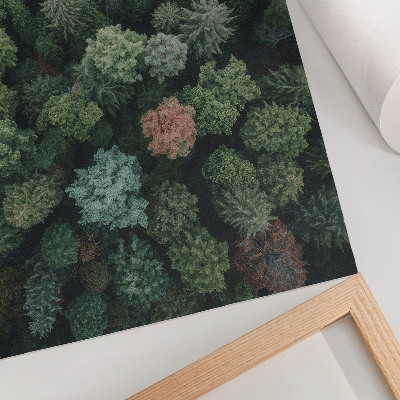 Décoration murale Paysage forestier vu du ciel avec des feuilles aux couleurs variées