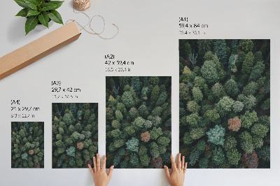 Décoration murale Paysage forestier vu du ciel avec des feuilles aux couleurs variées