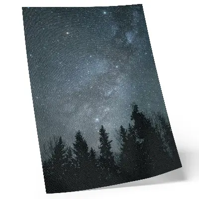 Affiche décorative ciel nocturne avec étoiles et silhouettes d'arbres