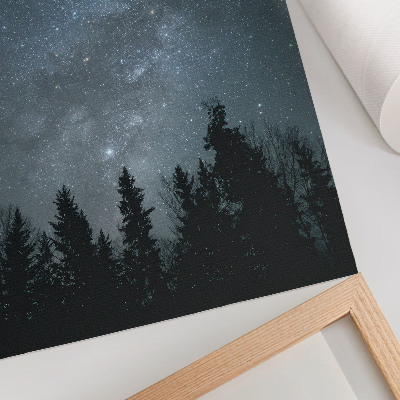 Affiche décorative Un ciel nocturne rempli d'étoiles et de silhouettes d'arbres