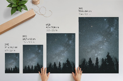 Affiche décorative Un ciel nocturne rempli d'étoiles et de silhouettes d'arbres