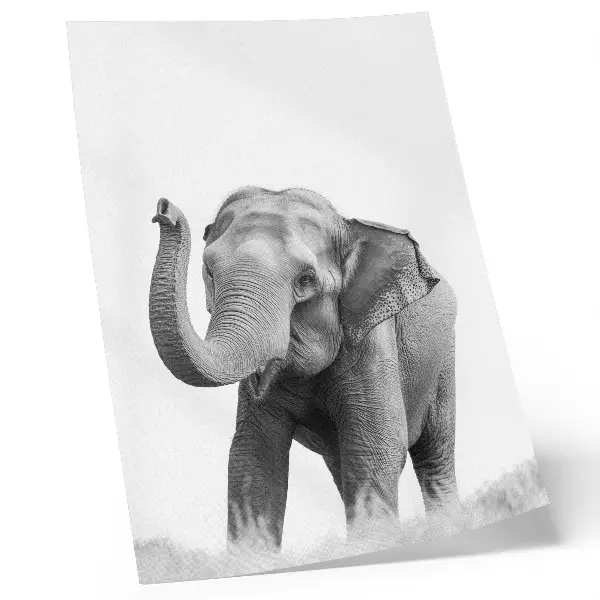 Impression sur toile éléphant monochrome avec la trompe levée