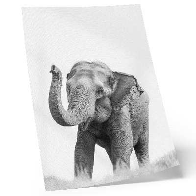 Impression sur toile Un éléphant monochrome, la trompe levée.