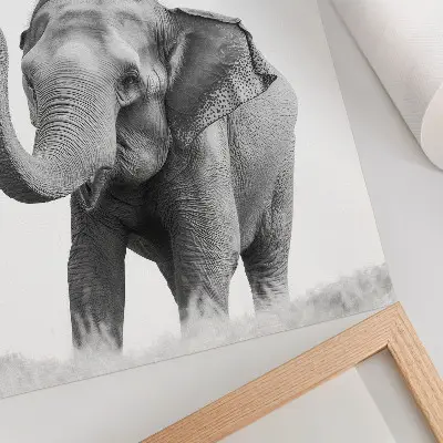 Impression sur toile éléphant monochrome avec la trompe levée