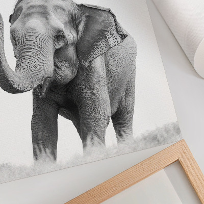 Impression sur toile Un éléphant monochrome, la trompe levée.