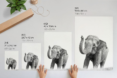 Impression sur toile Un éléphant monochrome, la trompe levée.
