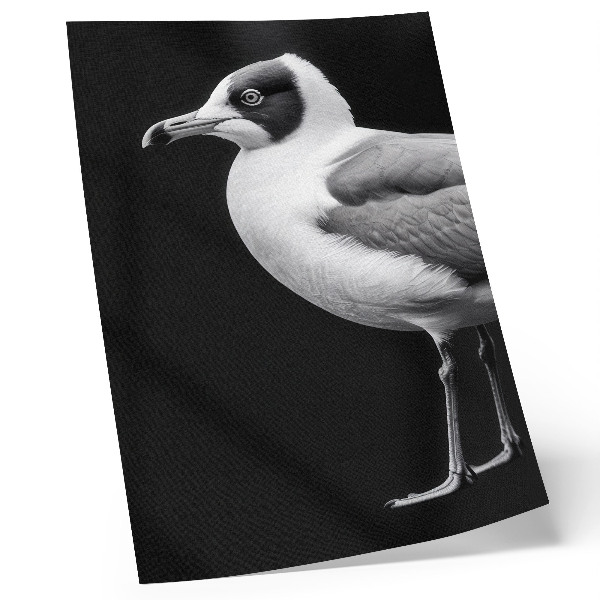 Décoration murale Un style minimaliste contraste entre un oiseau noir et blanc et un oiseau.