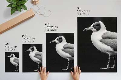 Décoration murale Un style minimaliste contraste entre un oiseau noir et blanc et un oiseau.