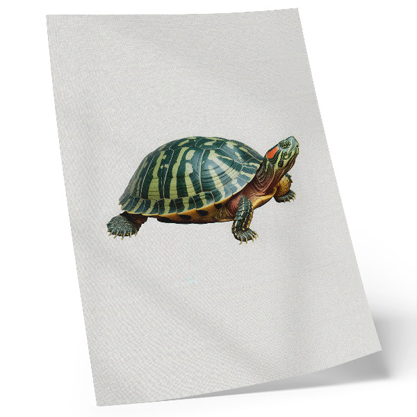 Affiche décorative Tortue verte avec détails harmonieux sur la nature
