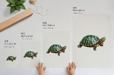 Affiche décorative Tortue verte avec détails harmonieux sur la nature