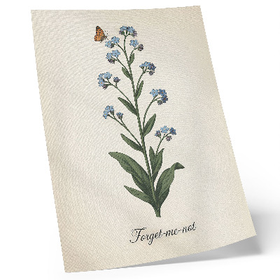 Affiche décorative Myosotis et papillon sur fond crème