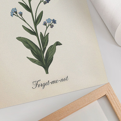 Affiche décorative Myosotis et papillon sur fond crème