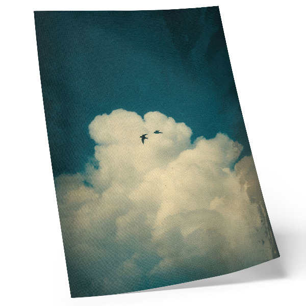 Impression sur toile Nuages blancs, ciel turquoise, deux oiseaux, espace