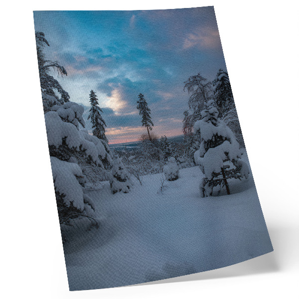 Affiche décorative Arbres enneigés, paysage pittoresque, ciel
