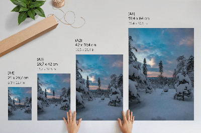 Affiche décorative Arbres enneigés, paysage pittoresque, ciel