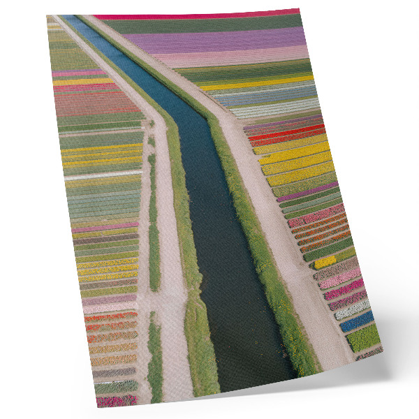 Impression sur toile Des bandes colorées de fleurs le long du canal