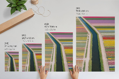 Impression sur toile Des bandes colorées de fleurs le long du canal