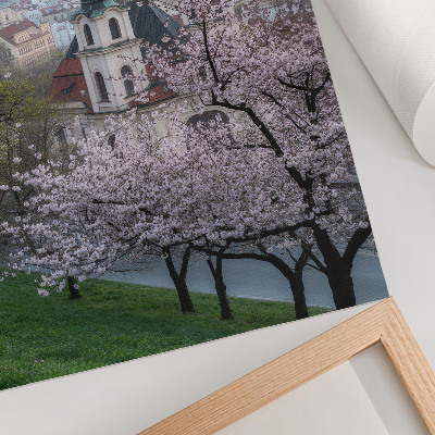 Décoration murale Au printemps, la ville se pare de mille feux grâce à ses arbres en fleurs et ses clochers.