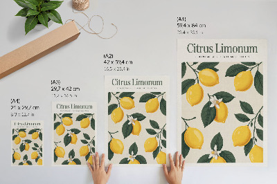 Affiche décorative Citrons juteux, feuilles vertes, fond crème
