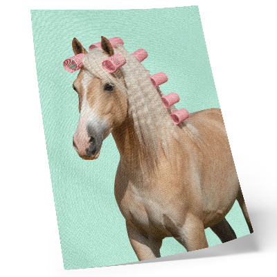 Décoration murale Rouleaux pour robe légère de cheval, couleur menthe pastel