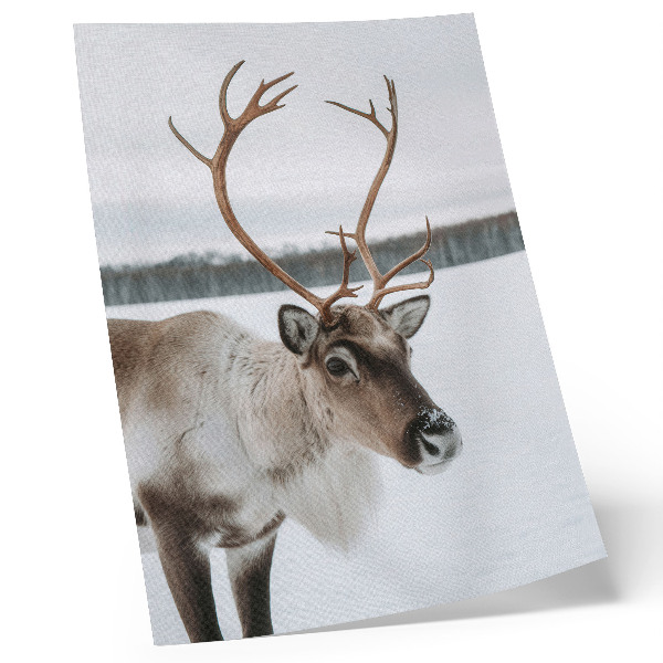 Décoration murale Renne dans un paysage hivernal à la fourrure beige