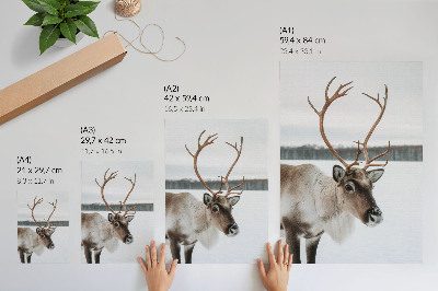 Décoration murale Renne dans un paysage hivernal à la fourrure beige