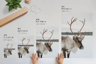 Décoration murale représentant un renne à la fourrure beige dans un paysage hivernal