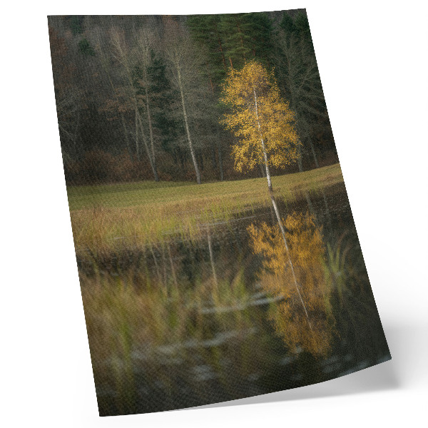 Impression sur toile Un arbre doré se détachant sur le fond d'une forêt sombre et d'un lac