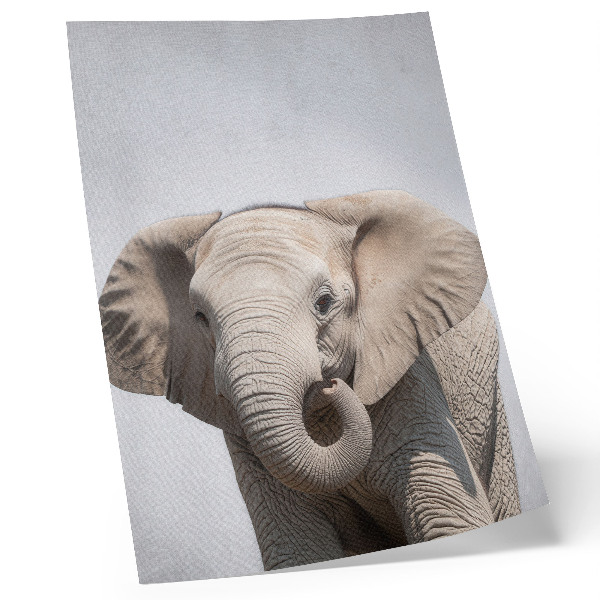 Impression sur toile Un jeune éléphant sur fond clair
