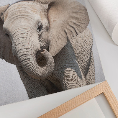 Impression sur toile Un jeune éléphant sur fond clair