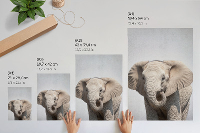 Impression sur toile Un jeune éléphant sur fond clair