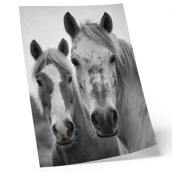 Affiche décorative chevaux dans une photographie monochrome élégante
