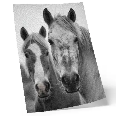 Affiche décorative chevaux dans une photographie monochrome élégante