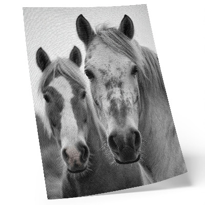 Affiche décorative Des chevaux dans une photo monochrome pleine d'élégance