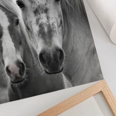 Affiche décorative chevaux dans une photographie monochrome élégante