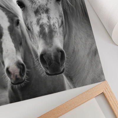 Affiche décorative Des chevaux dans une photo monochrome pleine d'élégance