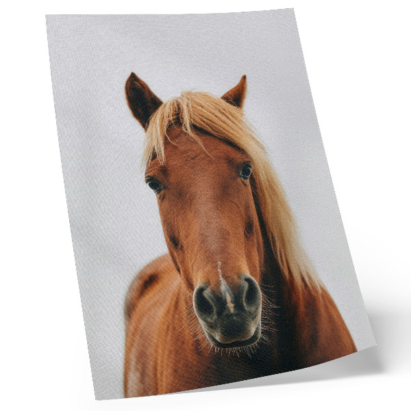 Décoration murale Portrait de cheval minimaliste beauté naturelle élégance