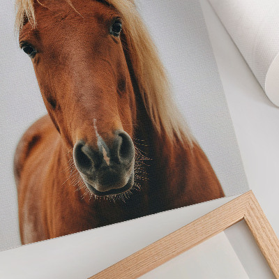 Décoration murale Portrait de cheval minimaliste beauté naturelle élégance