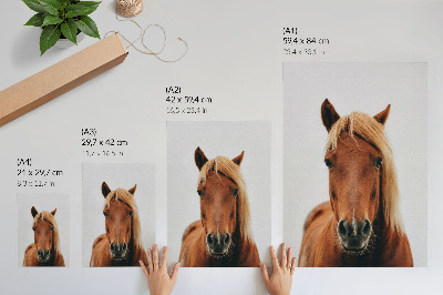 Décoration murale Portrait de cheval minimaliste beauté naturelle élégance