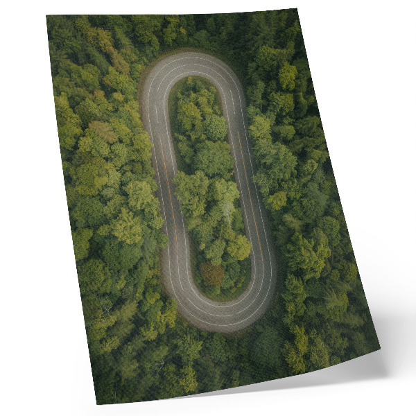 Décoration murale Une route étroite et sinueuse à travers la forêt verdoyante