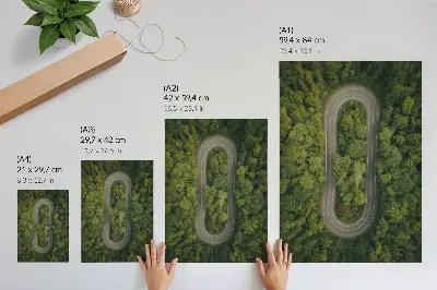 Décoration murale représentant une route étroite et sinueuse à travers la forêt verdoyante