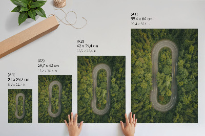 Décoration murale Une route étroite et sinueuse à travers la forêt verdoyante