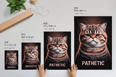 Impression sur toile Portrait d'un chat au pelage particulier et au regard profond