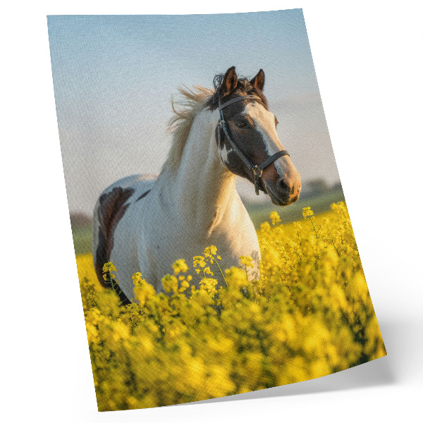 Affiche décorative Un cheval élégant dans un champ printanier rempli de fleurs