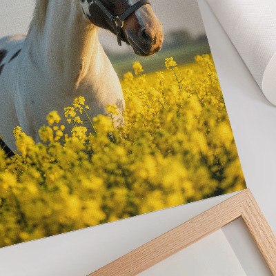 Affiche décorative Un cheval élégant dans un champ printanier rempli de fleurs