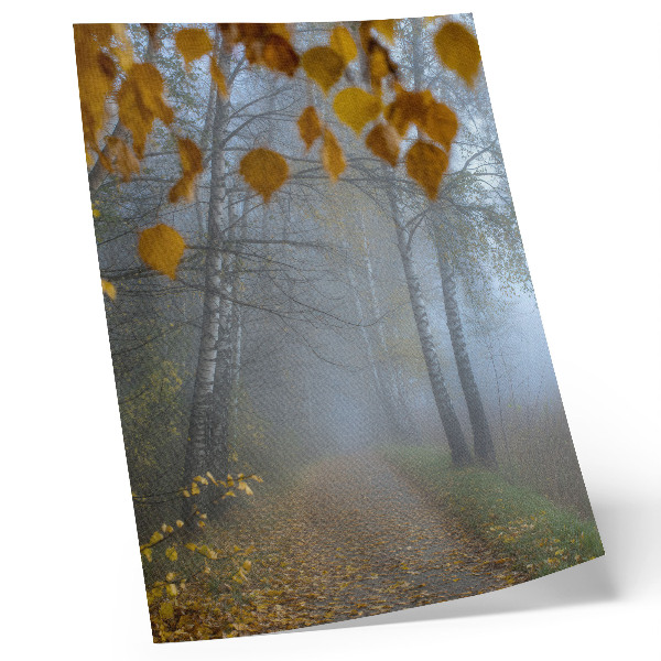 Décoration murale Forêt d'automne brumeuse, bouleaux aux feuilles jaunes