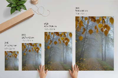 Décoration murale Forêt d'automne brumeuse, bouleaux aux feuilles jaunes