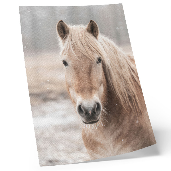 Impression sur toile Cheval hiver couleurs douces nature paisible