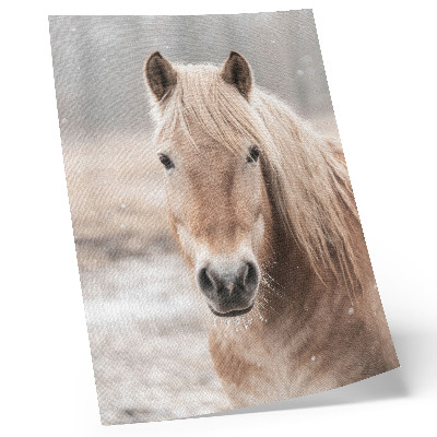 Impression sur toile Cheval hiver couleurs douces nature paisible