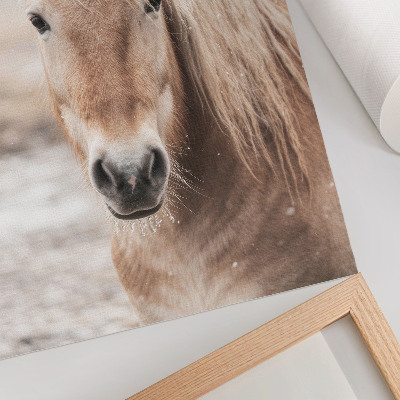 Impression sur toile Cheval hiver couleurs douces nature paisible